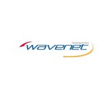 Wavenet CAT5E Riser CMR 350MHZ Reeflex(White)