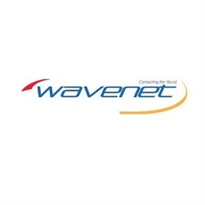 Wavenet Cat 6 PVC SOLID SHIELDED 600MHZ 1,000' REEL(grey)