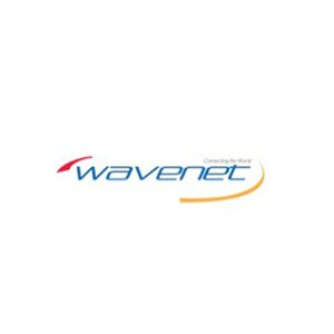 Wavenet Cat 6 PVC SOLID SHIELDED 600MHZ 1,000' REEL(red)