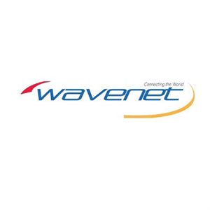 Wavenet Cat 6 PVC SOLID SHIELDED 600MHZ 1,000' REEL(white)