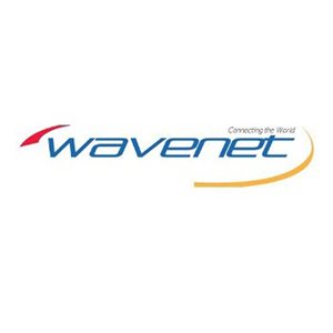 Wavenet Cat 6E PVC SC 550MHZ NO SPLINE 1,000' REELEX II(blue)