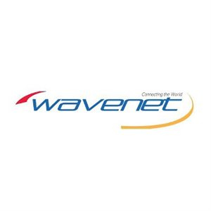 Wavenet Cat 6E PVC SC 550MHZ NO SPLINE 1,000' REELEX II(white