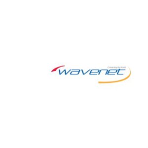 Wavenet 16 / 4C 65strand CL3 DB 500' Reelex(white)