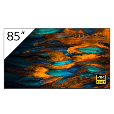 Sony Pro 85" 4K LED TV w /  3yr warranty