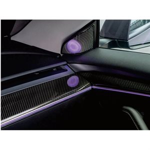 Rydeen Tesla Laser Engraved Ambient Lights 2021-2023 Model 3