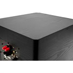 Red Atom 10" Powered Subwoofer (Black)