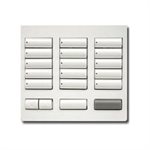 Lutron Radio RA2 Keypad LARGE 15 BUTTON (snow white)