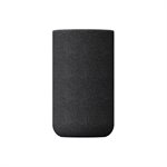 Sony Wireless Rear Home Theater Speakers