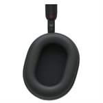 Sony Headphones with Mic(black)