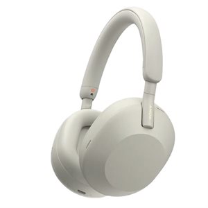 Sony Headphones with Mic(silver)